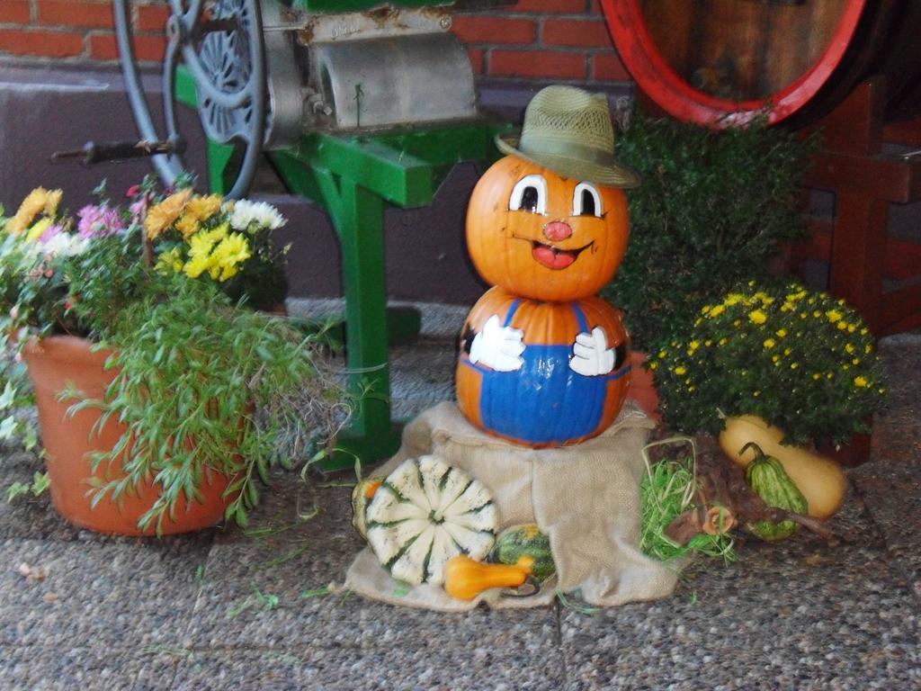 Kuner Weitzel Landgasthof Frohe Einkehr Gbr Merzhausen 외부 사진