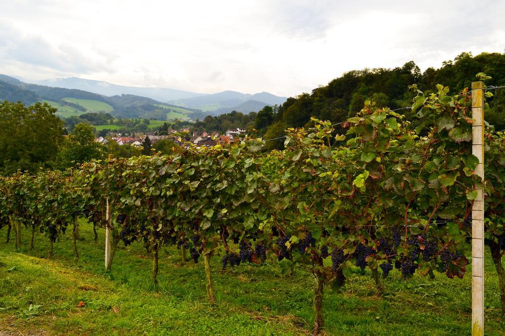 Kuner Weitzel Landgasthof Frohe Einkehr Gbr Merzhausen 외부 사진